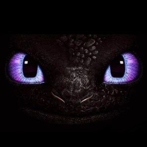 Meet your Posher, Belinda